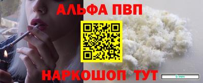 гашик Донской