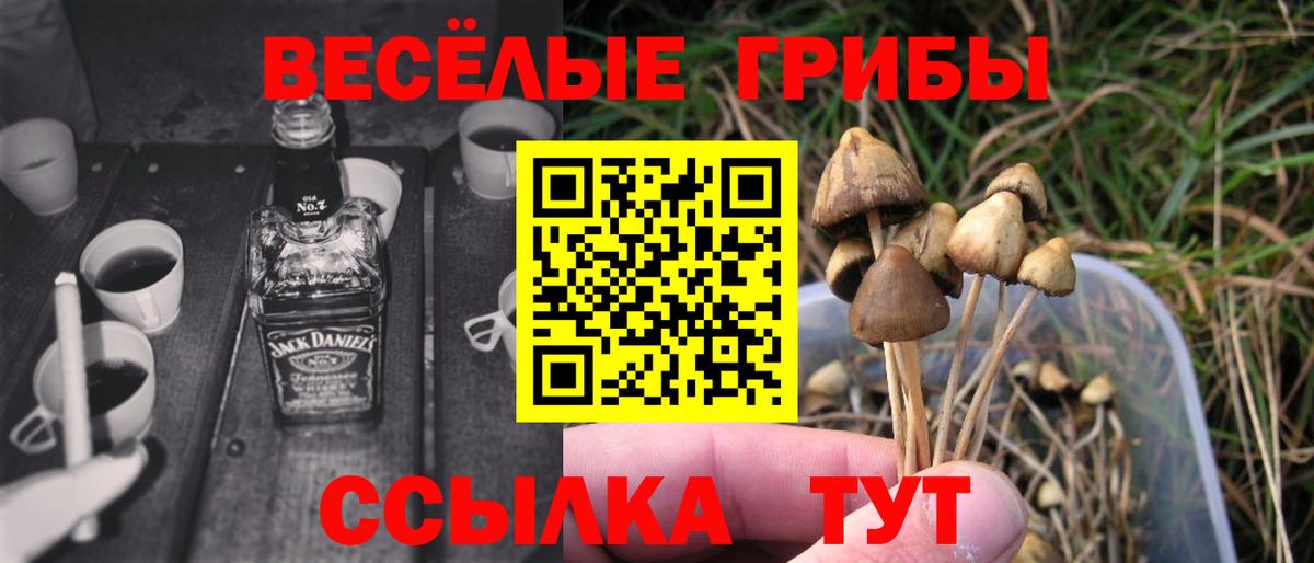 Галлюциногенные грибы мухоморы  закладка  Минусинск  Псилоцибиновые грибы Magic Shrooms  Вход с VPN 