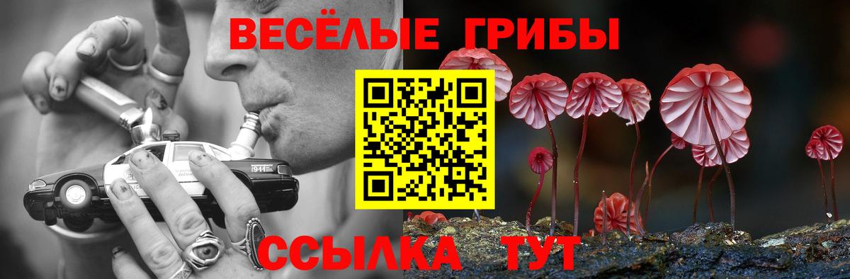 Псилоцибиновые грибы мухоморы Минусинск